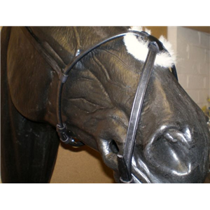 Grackle Noseband